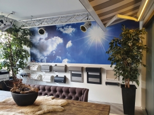 showroom (2)