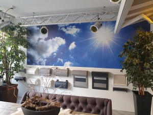showroom (3)