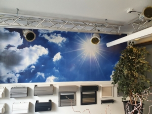 showroom (4)